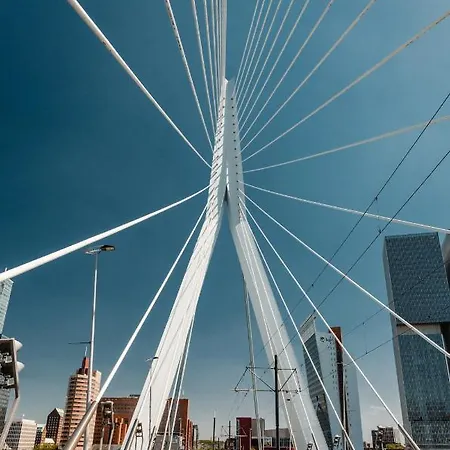 Le Petit Marin Boutique Szálloda Rotterdam