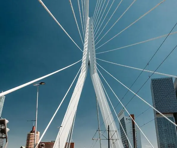 Le Petit Marin Boutique Szálloda Rotterdam